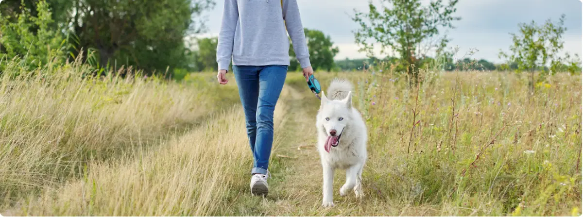 Person walking a dog on a grassy path, representing independence, healthy routines, and confidence after addiction recovery.